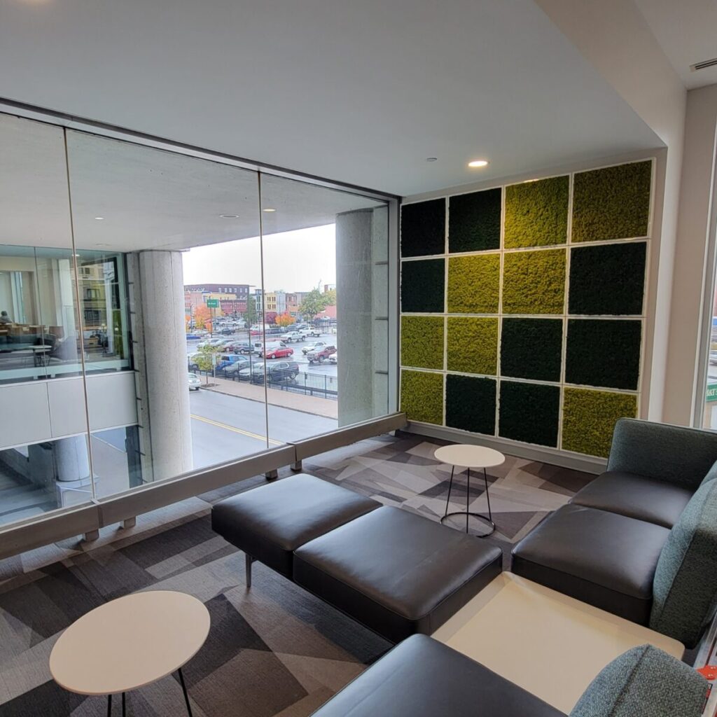 Moss Wall Art in Office Space